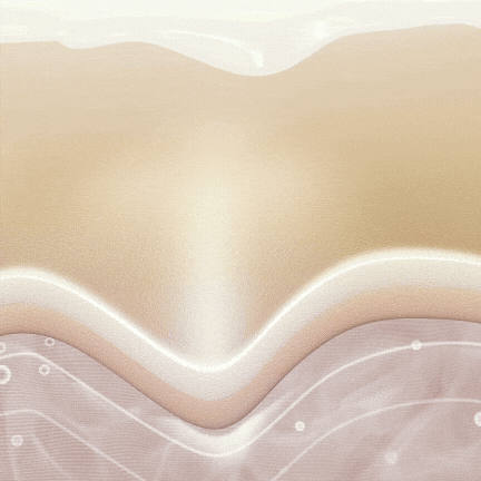 BODYTIVY Tallow SHampoo (2).gif__PID:52d63d51-ee3a-4b9f-ad25-31a505f2acf8