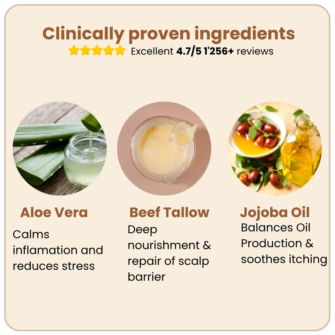 Organic Beef Tallow Shampoo • Scalp Barrier Repair