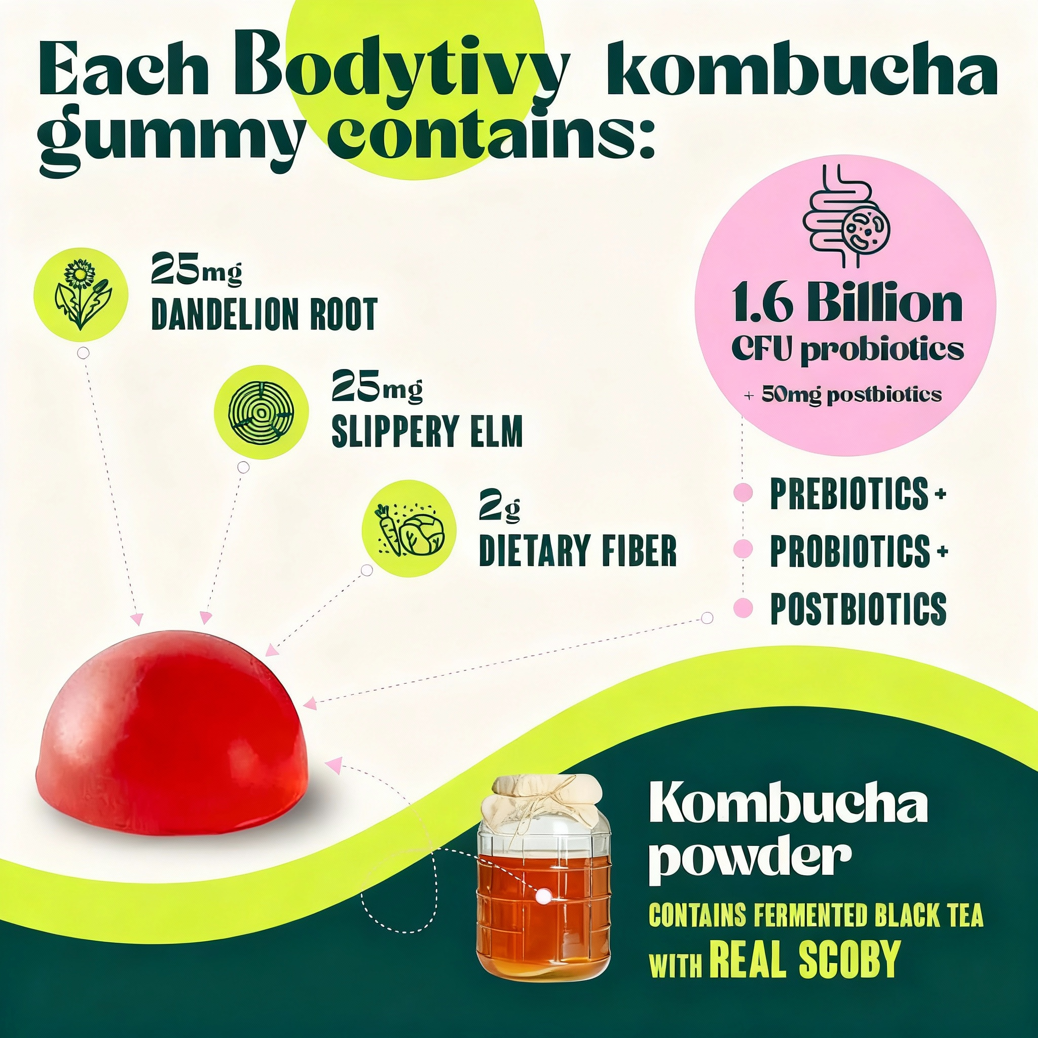 Kombucha Gummies | Gut Cleaning & Energy Restore